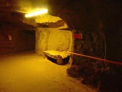 149 MUSEE DU CHAMPIGNON A  SAUMUR 2016 2_000018